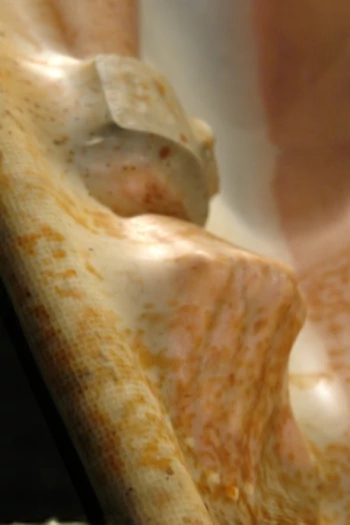 Gwiazda porno Closeup Fetish